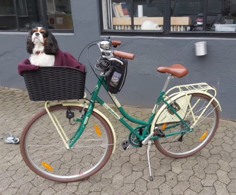 Auch für den besten Freund findet sich eine Lösung Auch für den besten Freund findet sich eine Lösung